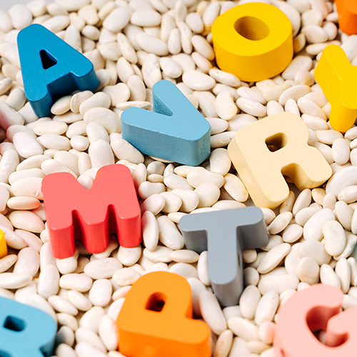 alphabet letters in dried beans for sensory play 